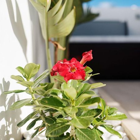Villa Palmera Jacuzzi 야이자 외부 사진